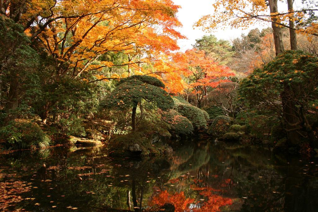 Senkyoro 4* Hakone